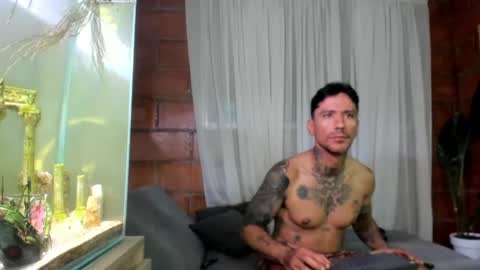 D Y L A N online show from 05.11.26