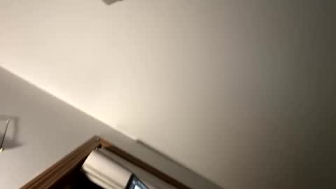 dylareus96 online show from 02.23.25