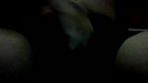 dyno1335 online show from 04.19.26