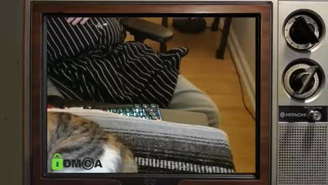 e8849c online show from 11.08.25