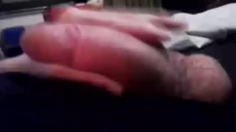 eatpussyuntilligetabj online show from 12.19.25