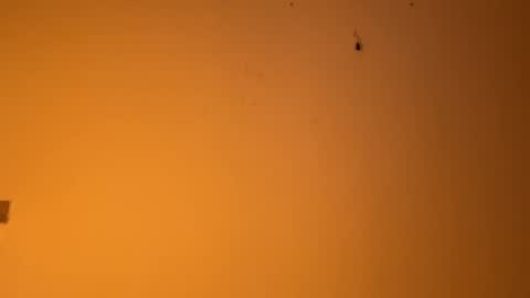 edgingandgooning online show from 12.14.24