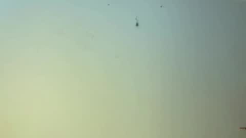 edgingandgooning online show from 01.01.25