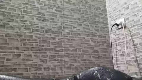 edithmanning online show from 03.06.25