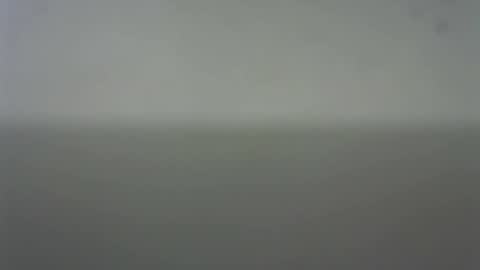 EIder online show from 02.22.26