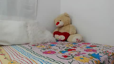 eileenmost online show from 12.19.24