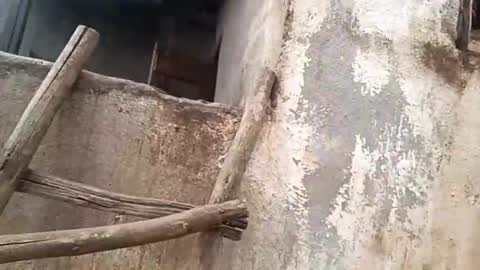 Snapshot of eldie69 chatting on 11.29.25 eldie69 online show from 11.29.25