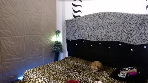 Snapshot of elektra_petite chatting on 12.31.24 ELEKTRA hii my birthday is tomorrow but I will celebrate it on Sunday Ill wait for you online show from 12.31.24