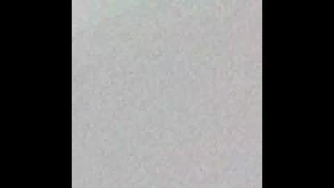 elektra online show from 11.16.25