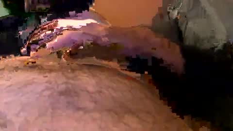 elgato66699 online show from 04.20.26