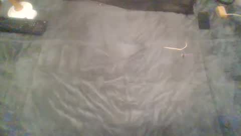 elgsslt online show from 02.09.25