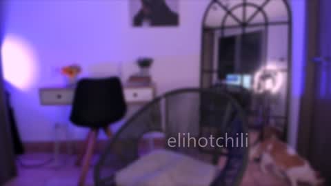 Snapshot of elihotchili chatting on 12.13.24 Eli online show from 12.13.24