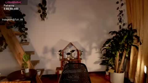 Tuli online show from 06.22.26