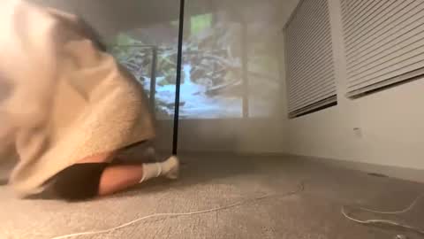 ella_ella_ella_ay online show from 01.11.26