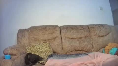 Snapshot of elsie02 chatting on 11.18.25 elsie02 online show from 11.18.25