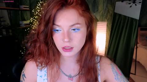 Snapshot of elsie_ginger chatting on 01.27.25 Elsie online show from 01.27.25