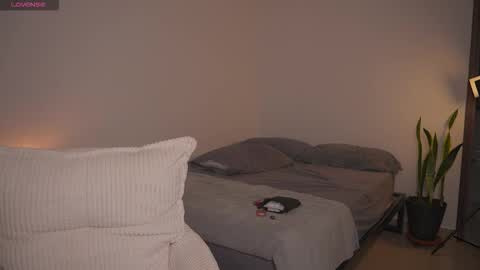 ana online show from 11.24.25