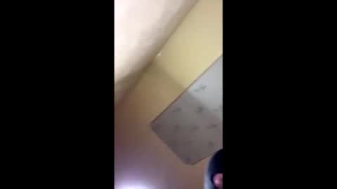 Emily online show from 10.14.25