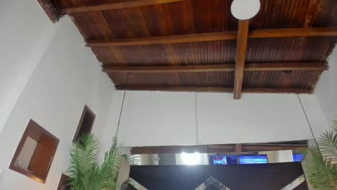 Emily  online show from 02.13.26