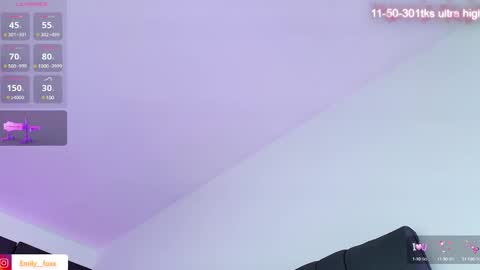 Snapshot of emily___fox chatting on 12.26.24 Emily online show from 12.26.24