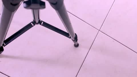 emily_castillo1_ online show from 11.18.25