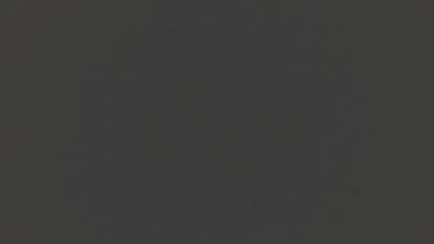 Liss online show from 12.15.24