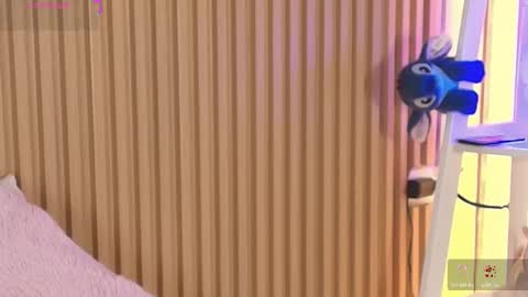 Emily online show from 03.20.26