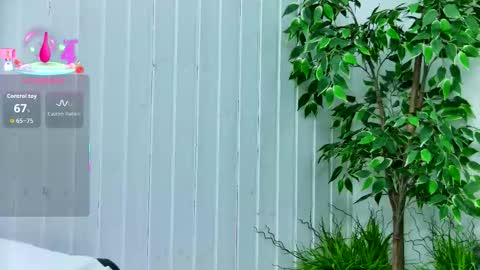 Emily online show from 01.14.26