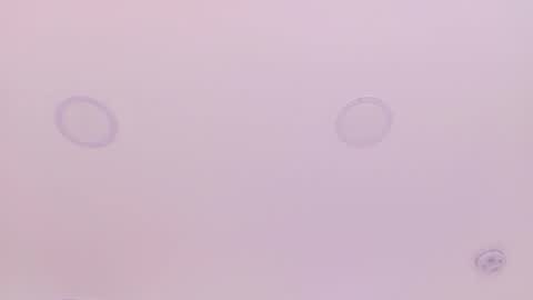 Emily Bank online show from 03.29.26