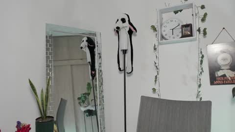 Emperatriz online show from 01.30.25