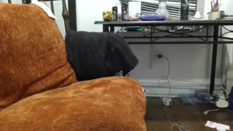 Snapshot of empusalamia chatting on 01.18.25 empusalamia online show from 01.18.25