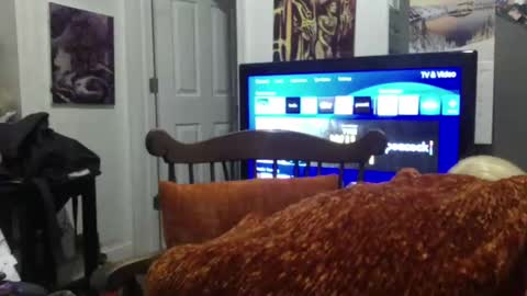 Snapshot of empusalamia chatting on 01.25.25 empusalamia online show from 01.25.25