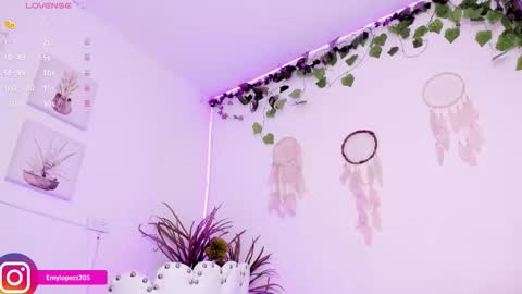 Emily online show from 11.20.25