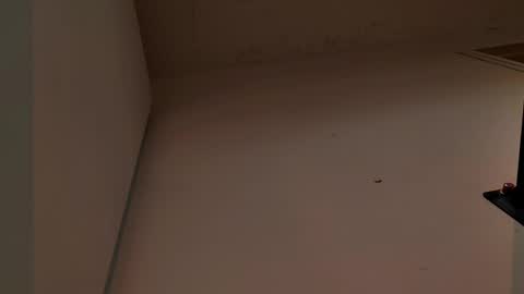 enzo_steel online show from 11.03.25