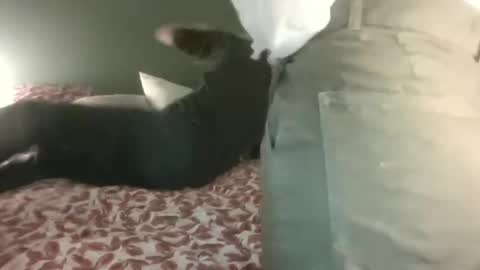 Snapshot of ericstephcam31 chatting on 02.28.25 Steph et Eric online show from 02.28.25