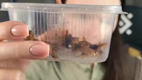 Snapshot of esterhernandes chatting on 02.21.26 kelt0901 - my channel in telegra online show from 02.21.26