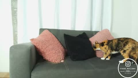 Ethan Muller online show from 04.15.26