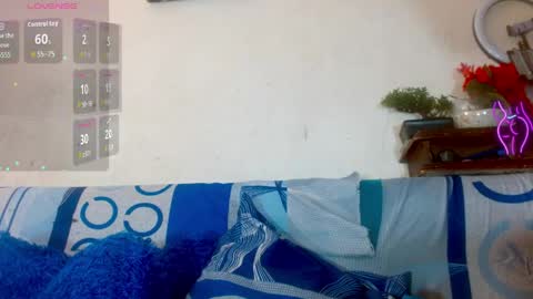 EVA online show from 04.21.26