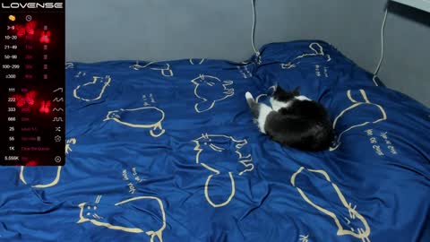 Eva online show from 01.12.25