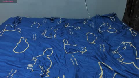 Eva online show from 01.28.25