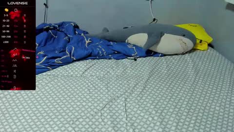 Eva online show from 02.19.25