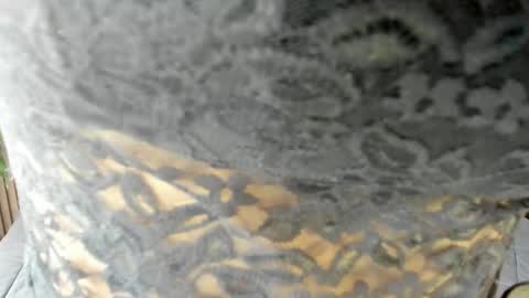 Eva online show from 04.15.26