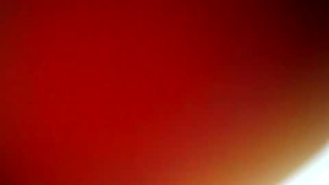 evangely online show from 02.09.25