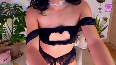 Im Eve or Chelle Next Stream 191224  online show from 03.08.25