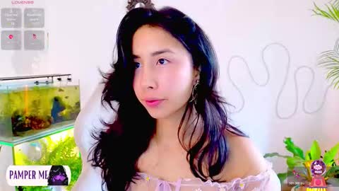 Im Eve or Chelle Next Stream 191224  online show from 02.18.26