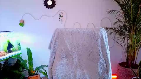 Im Eve or Chelle Next Stream 191224  online show from 05.02.26
