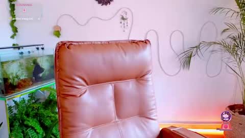 Im Eve or Chelle Next Stream 191224  online show from 05.04.26