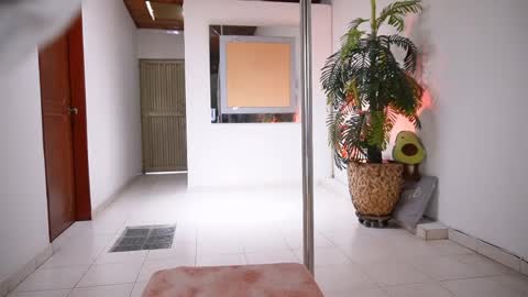 evelyn evelyn online show from 04.03.26