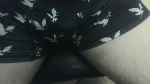 Snapshot of evolite_ chatting on 12.27.24 evolite_ online show from 12.27.24