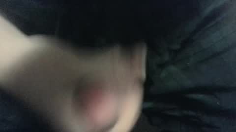 Snapshot of evolite_ chatting on 02.14.25 evolite_ online show from 02.14.25